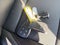 2024 Chevrolet Equinox EV 3RS