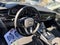 2025 Audi Q8 Premium Plus 55 TFSI quattro
